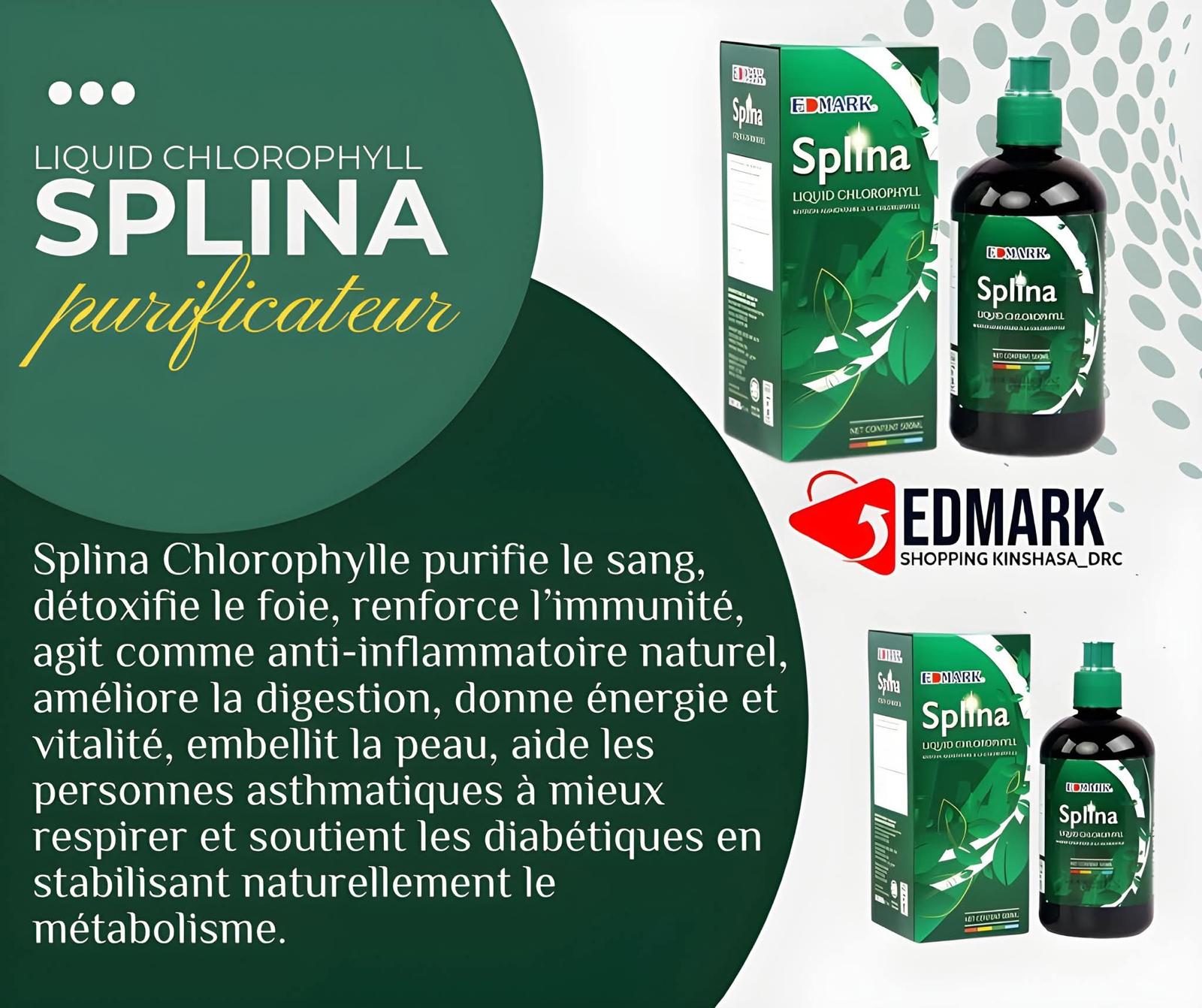 Splina